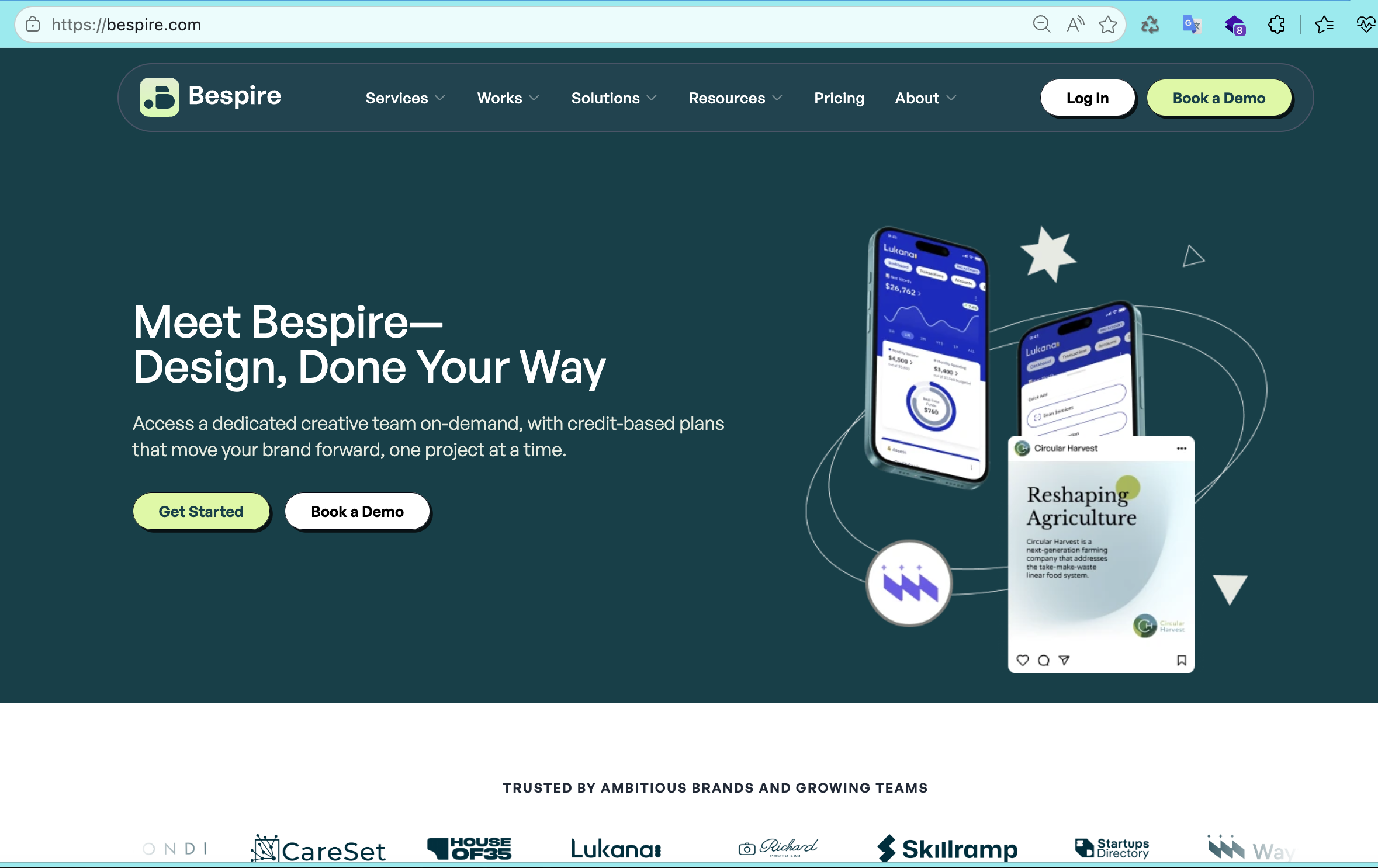 Captura del proyecto Bespire